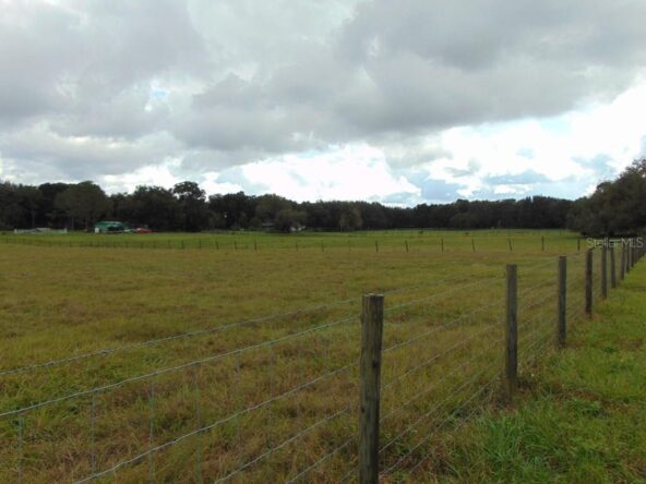 Fenced grassy field with trees in the distance.