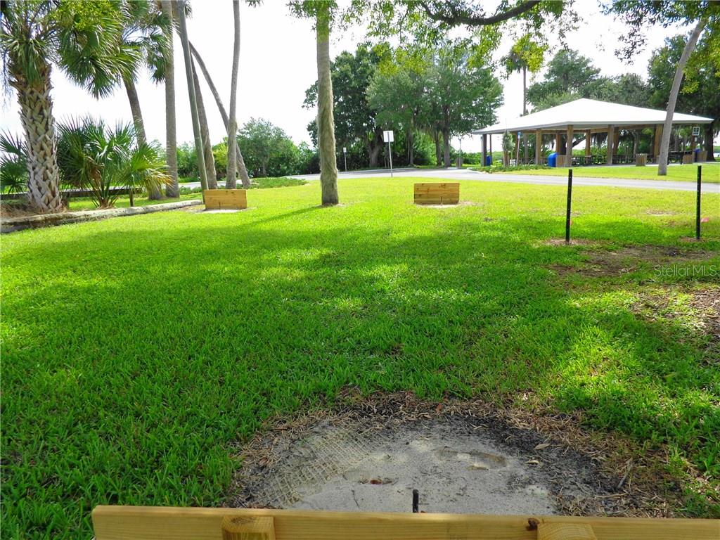 Green grass with a wooden bench.