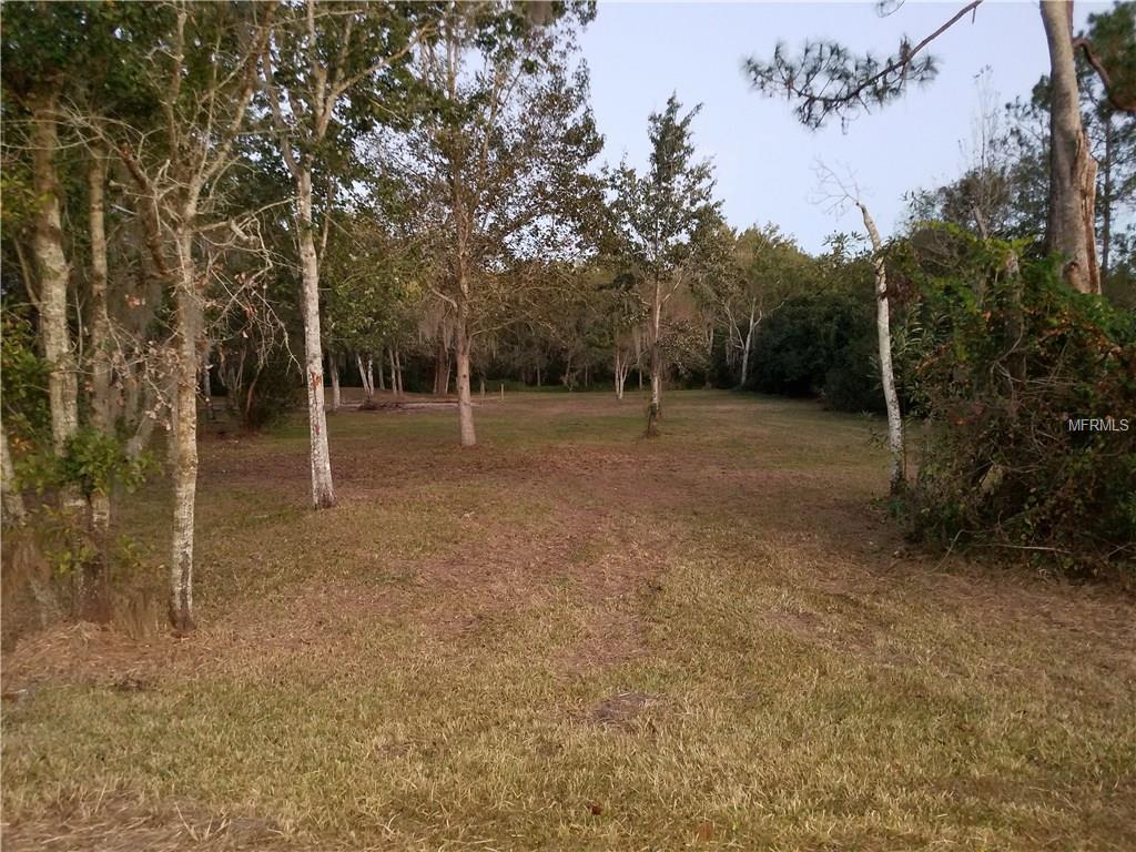 Overgrown grassy field with trees.