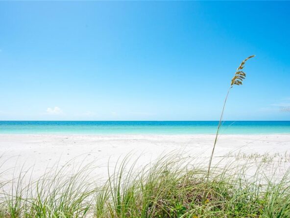 Beach view with seagrass and blue sky.