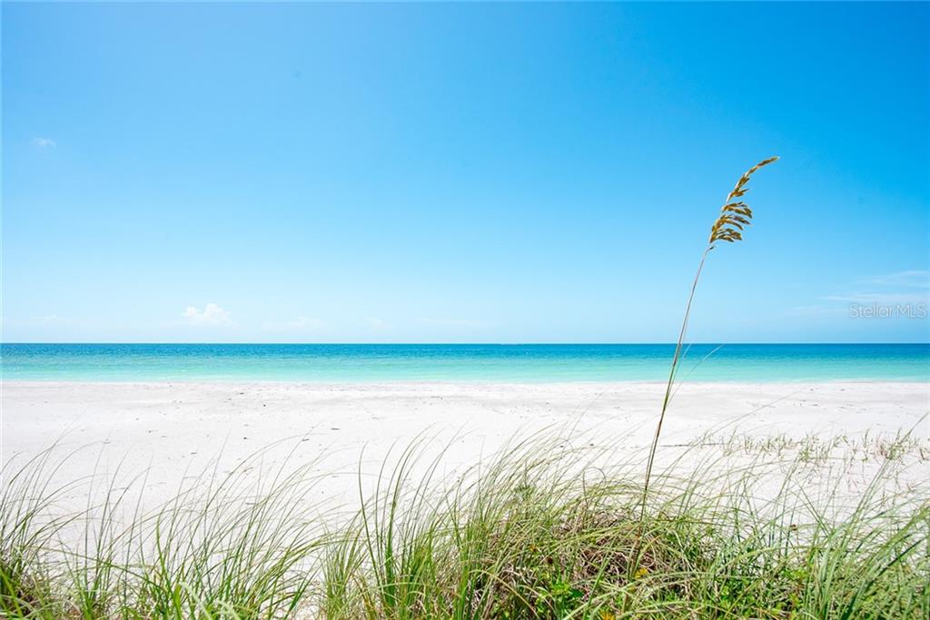 A beach scene with grass and blue sky.