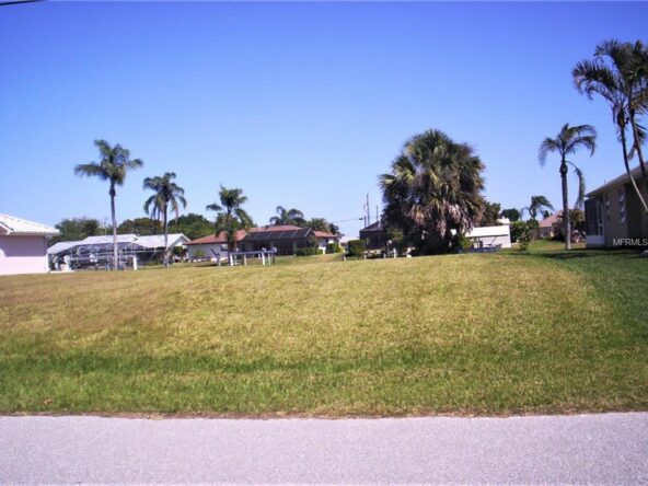 Empty lot with grass and palm trees.