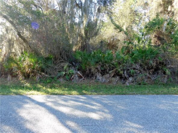 A grassy lot with trees and a road.