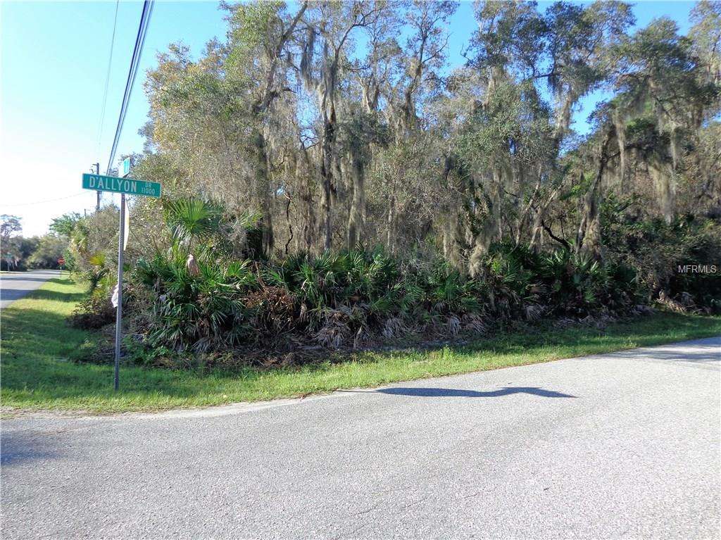 Wooded lot with Dallyon Drive sign.