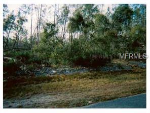 A vacant lot with trees and grass.