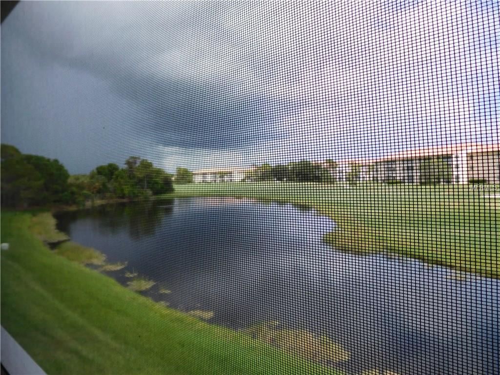 Screen window view of pond and golf course.