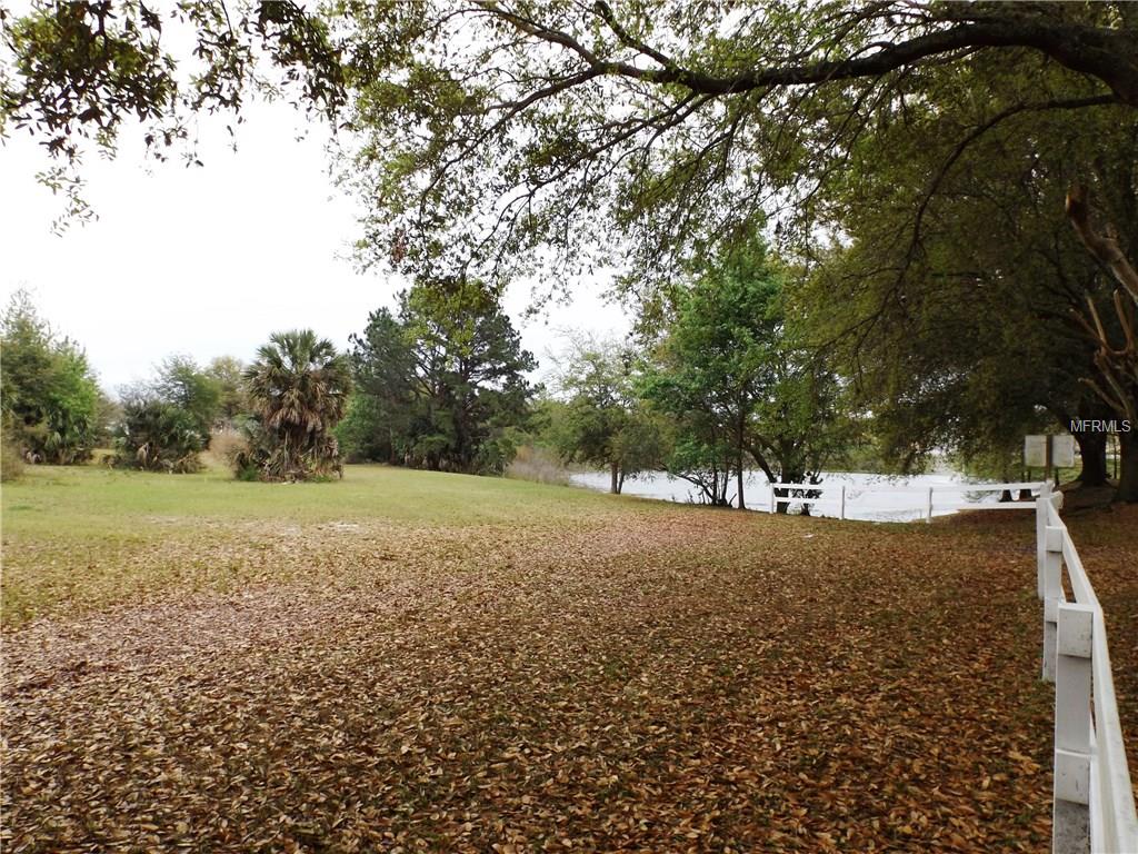 Grass field with fallen leaves by a lake.