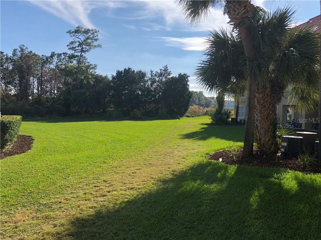 Green lawn with trees and a building.