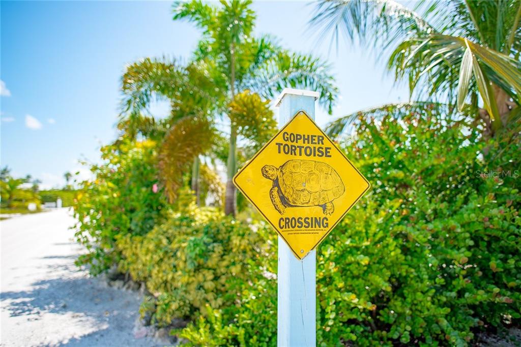 Gopher tortoise crossing sign with turtle.