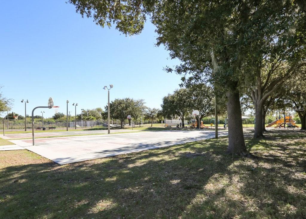 Empty basketball court with trees.