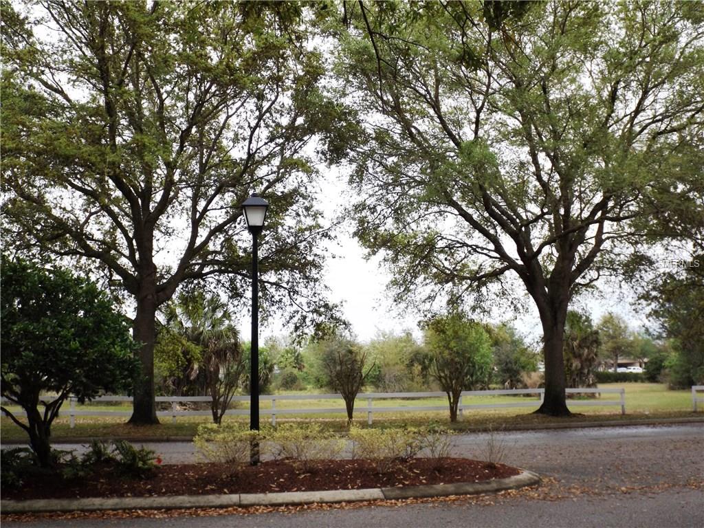 Lamp post between two large trees.