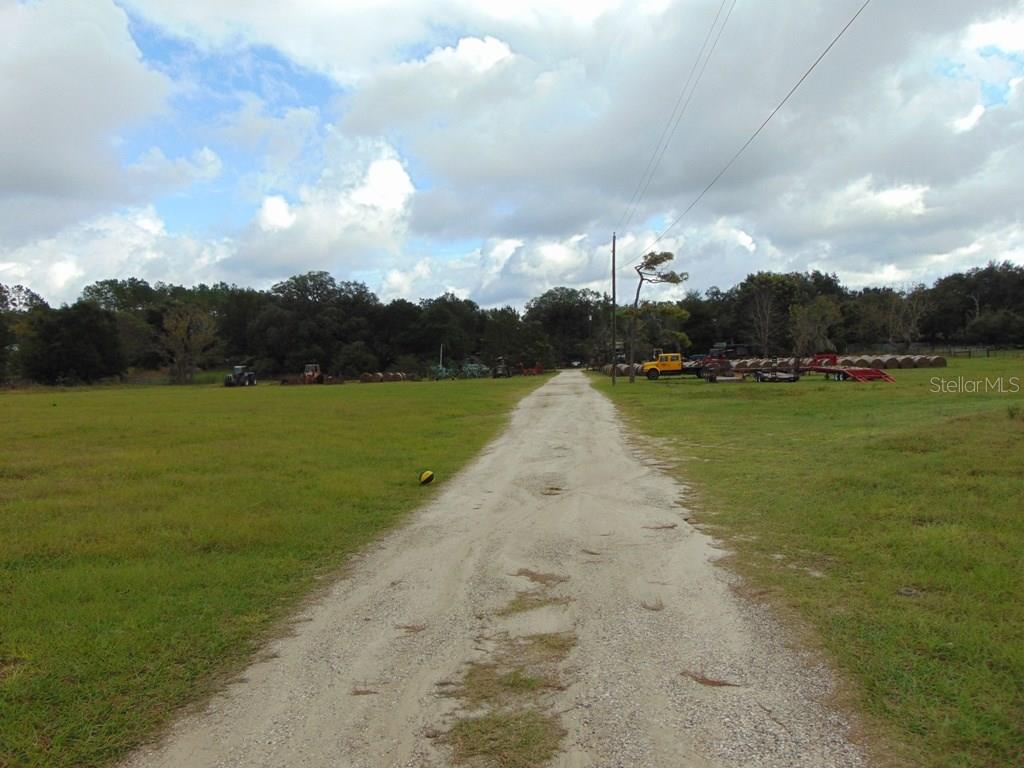 Dirt road through a grassy field.