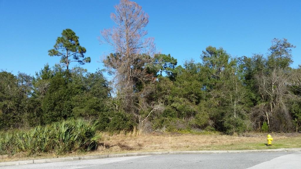 Wooded lot with a fire hydrant.