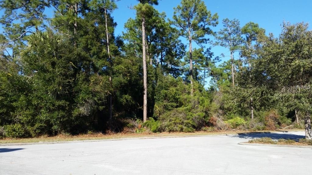 Empty parking lot with trees in background.