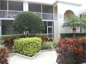 A lush courtyard with greenery and a walkway.