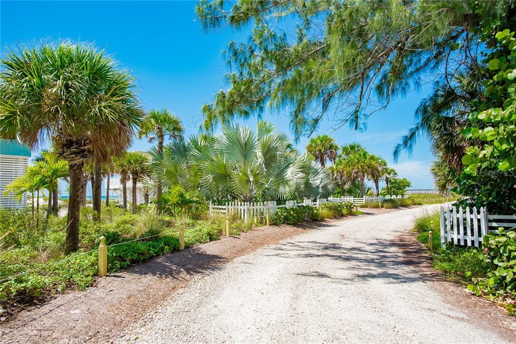 Gravel path through tropical landscape with white fence.