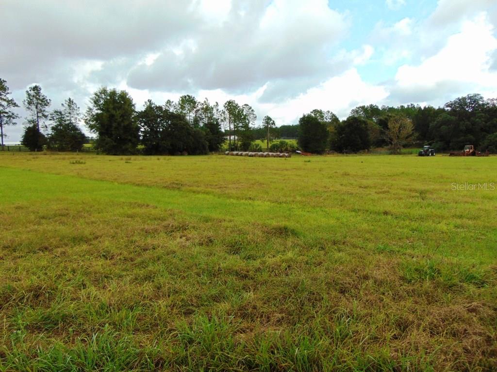 A grassy field with hay bales and trees.