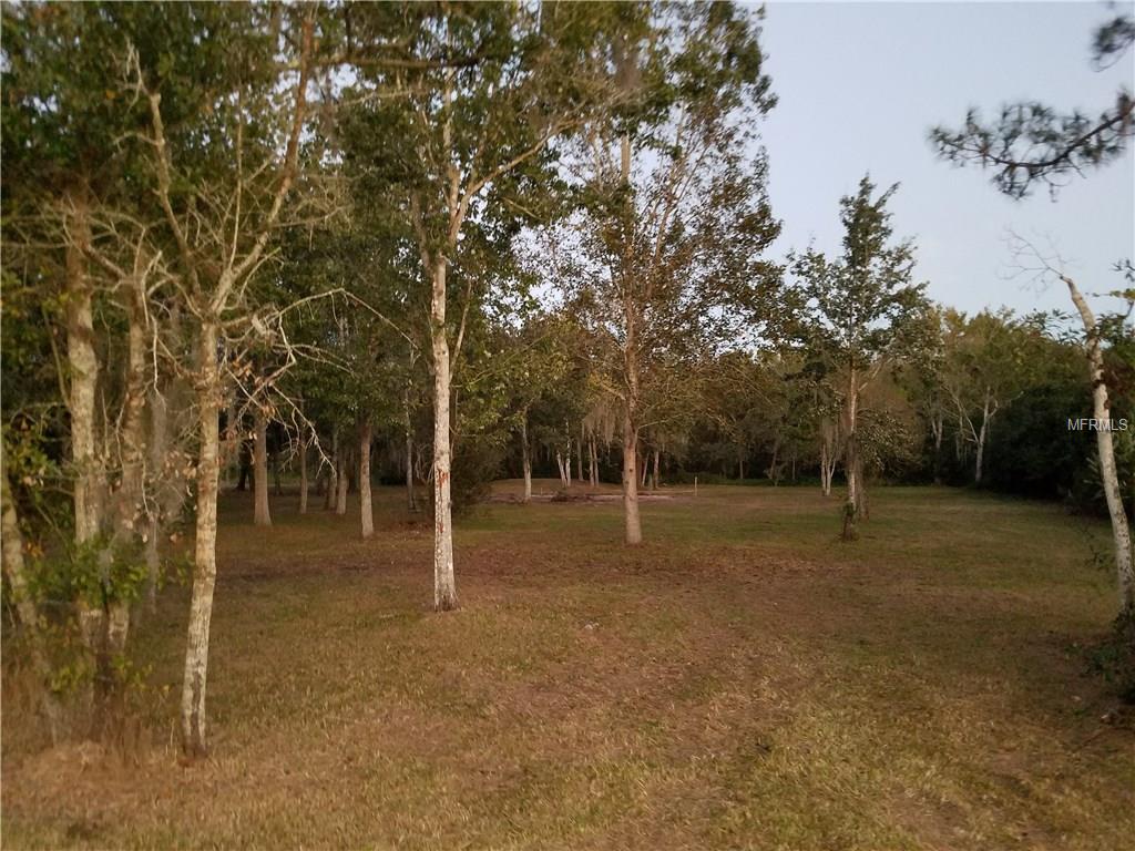 Wooded lot with tall trees and grass.