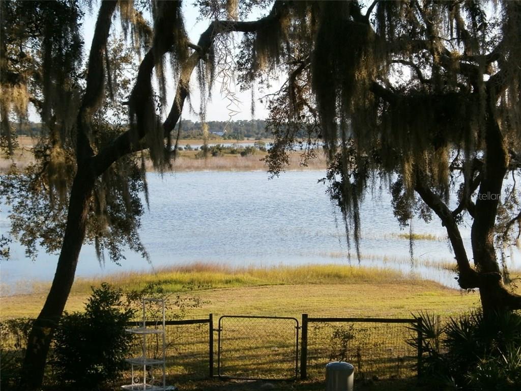 A lake view through Spanish moss trees.