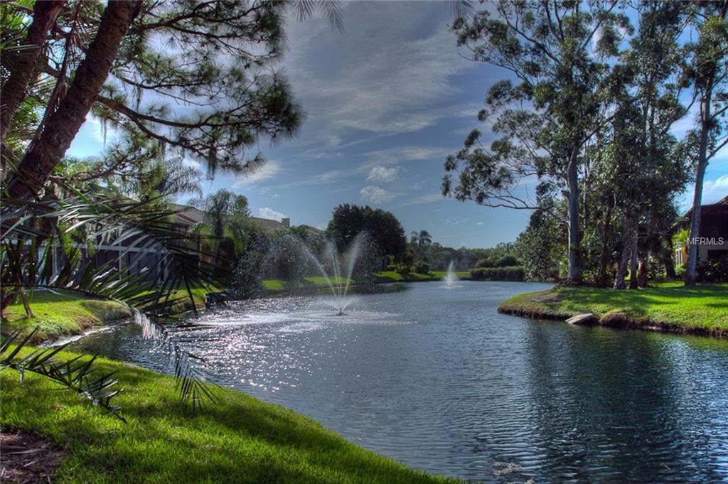 A lake with two fountains and lush greenery.