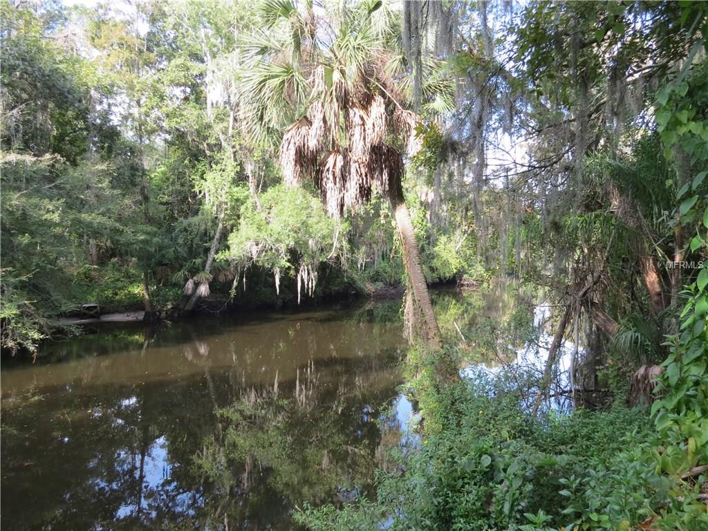 A calm river flowing through a lush forest.