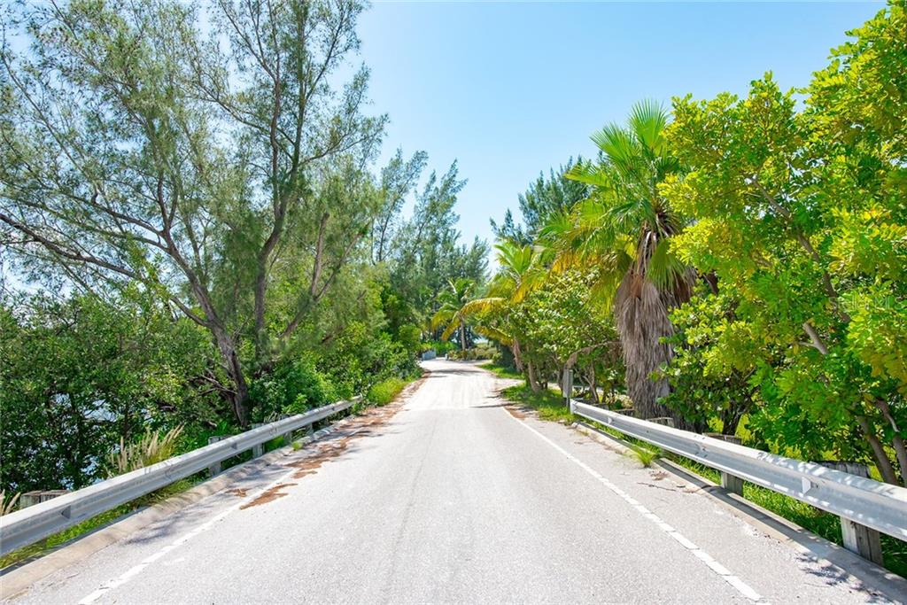 Empty road lined with trees and palm trees.