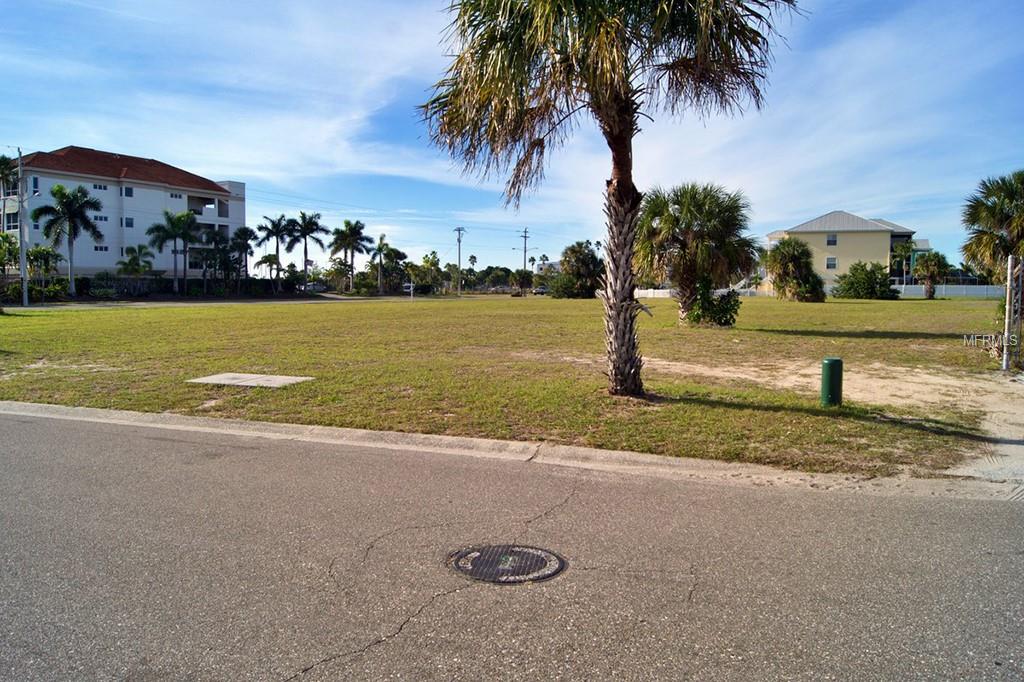 Empty lot with palm trees and houses.