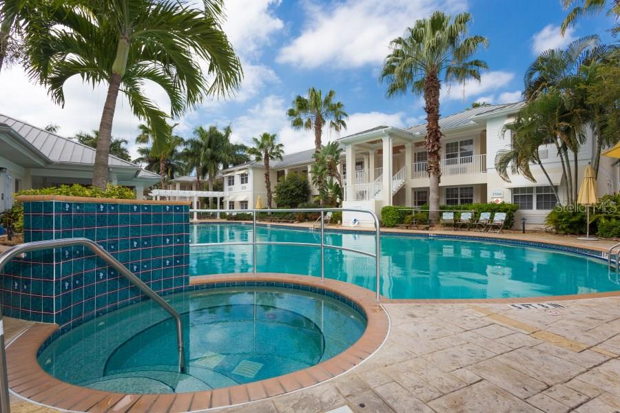 Pool and hot tub with palm trees.