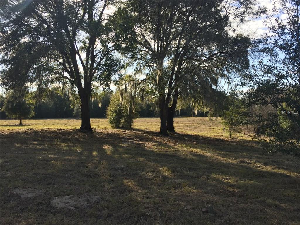 Three trees in a grassy field.