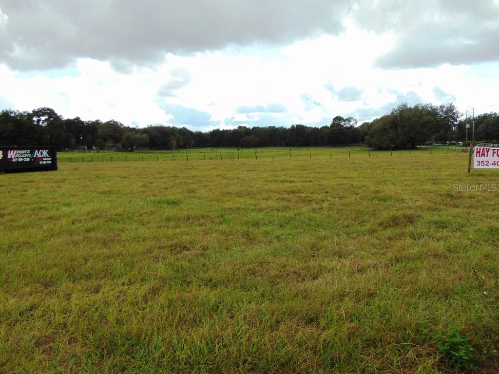 Green grassy field with a sign in the background.