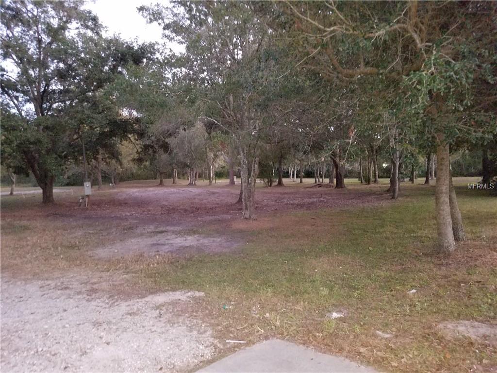 Wooded lot with grass and dirt.