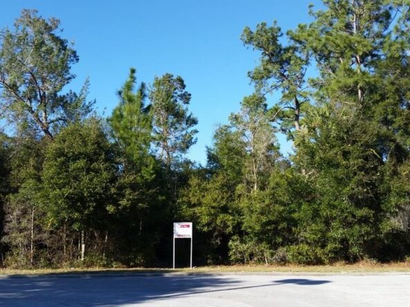 Wooded lot with a sign and a road.