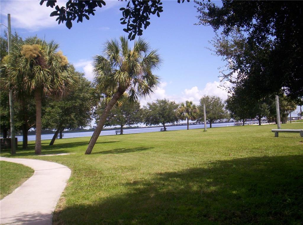 Park path with palm trees by the water.