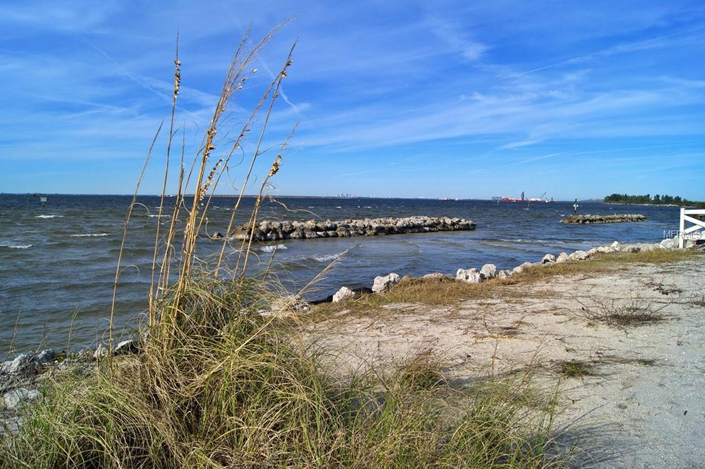 Seagrass on a sandy beach with a view of the ocean.