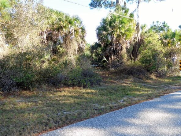 Empty lot with trees and road.