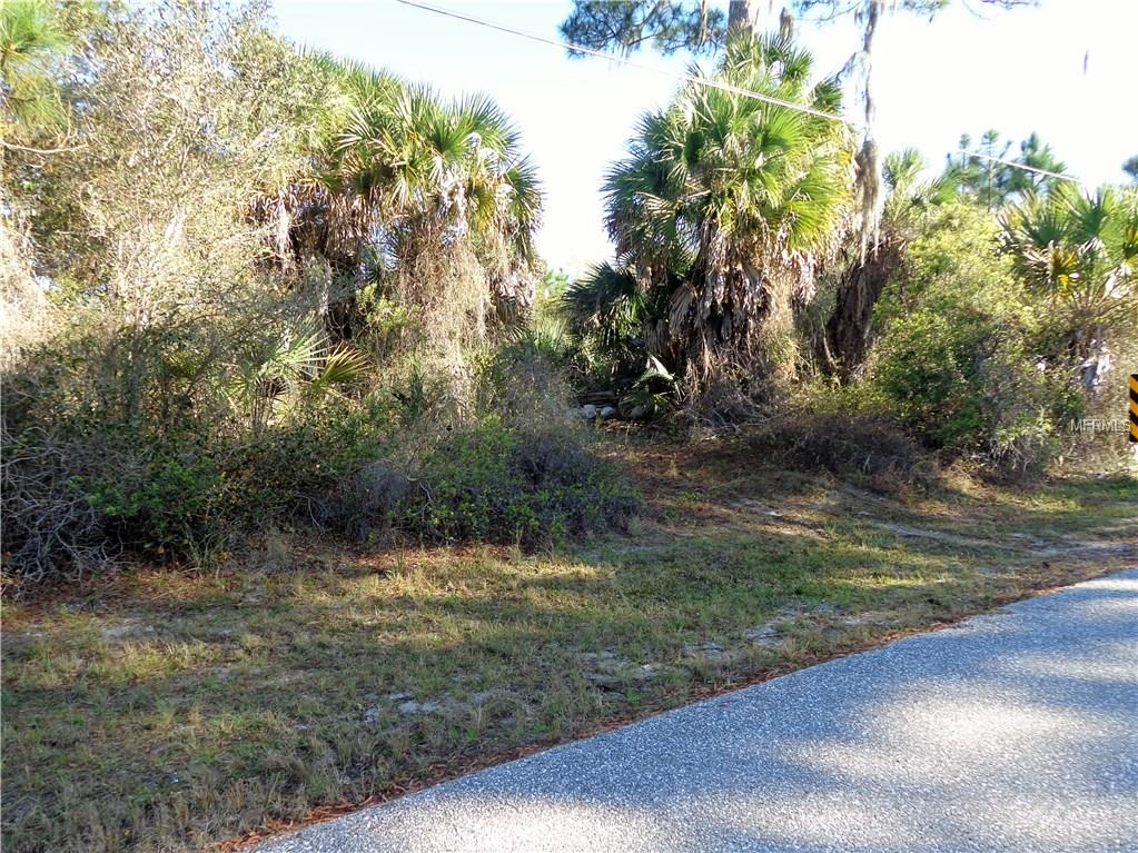 A grassy lot with palm trees and a road.