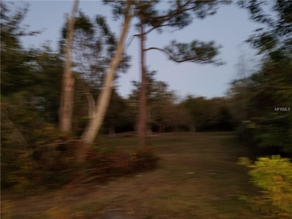 Blurred view of trees in a field.