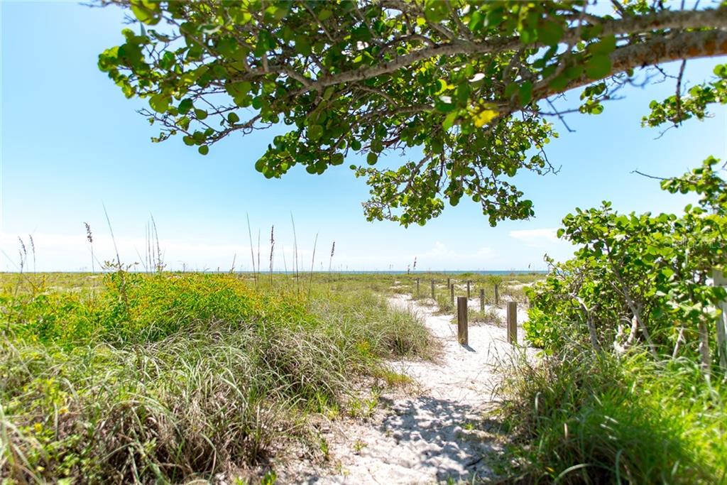 Path through beach grass and trees.