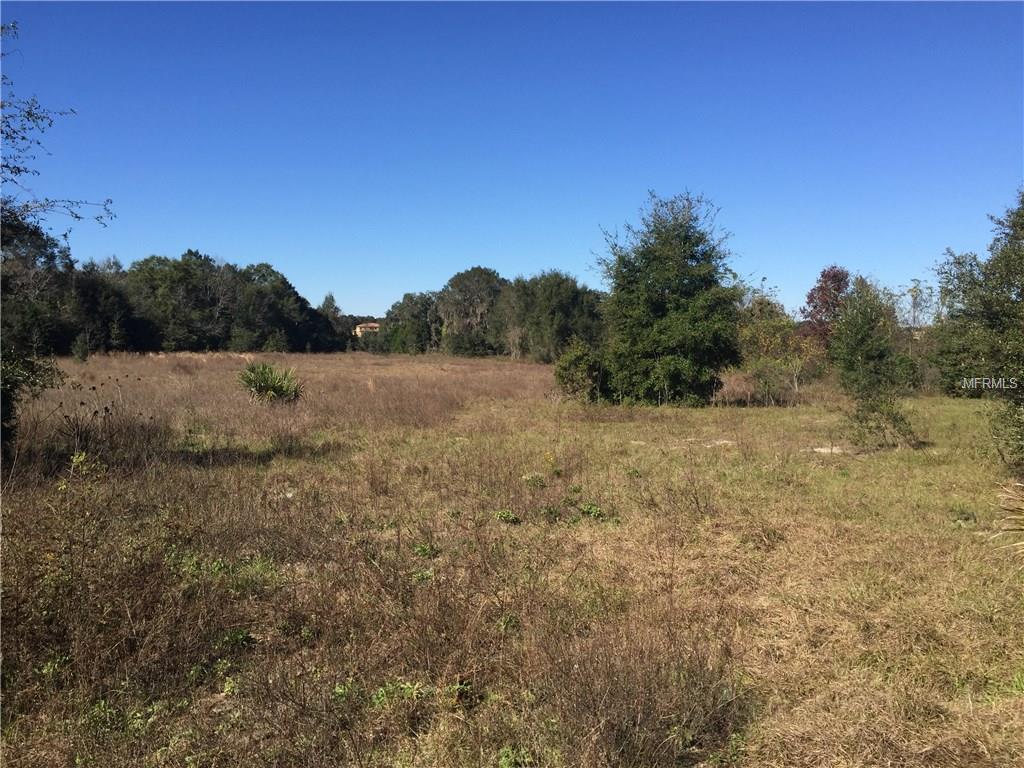 Open grassy field with trees in the background.