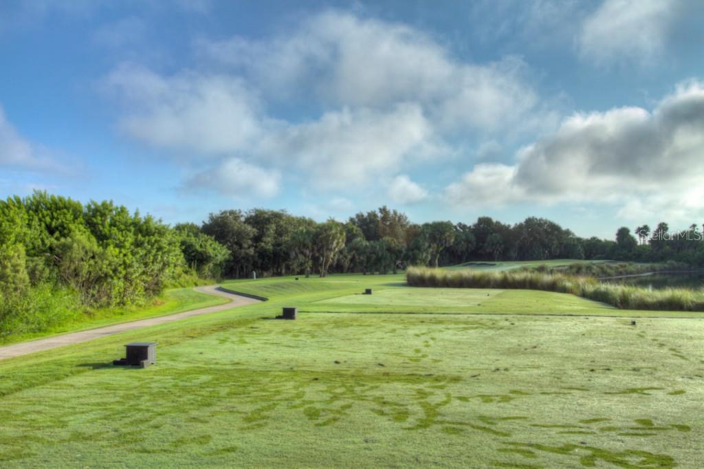 Golf course with green grass and blue sky.