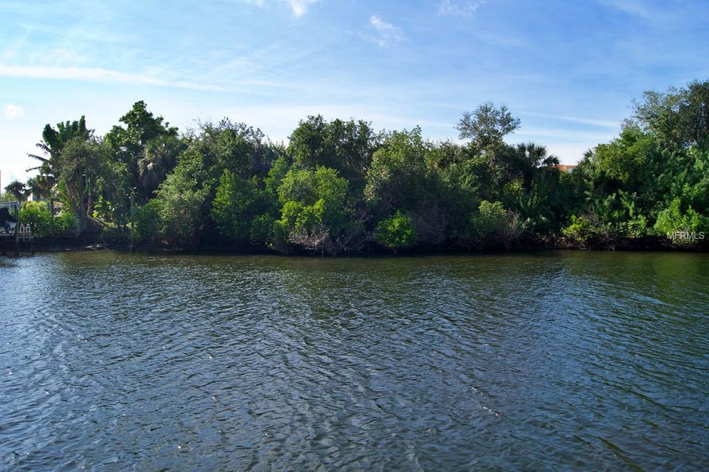 A view of a calm river and lush trees.