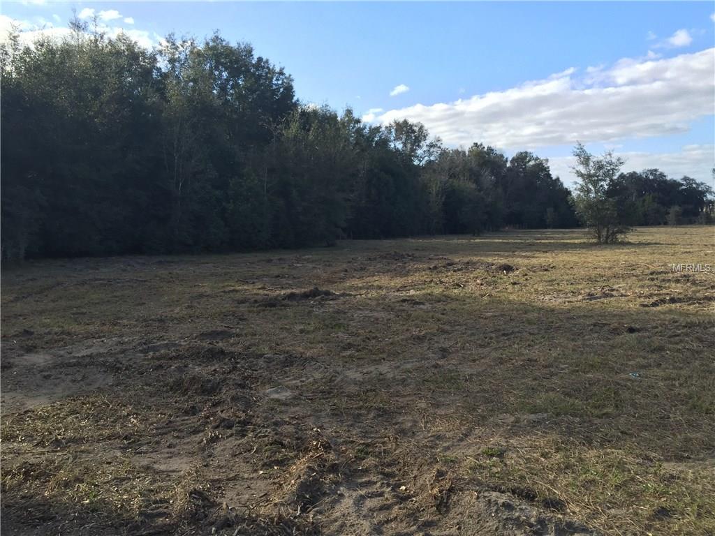 Empty grassy field with trees in the background.