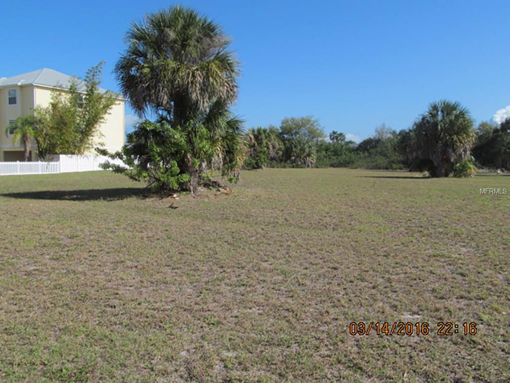 Empty lot with grass and palm trees.