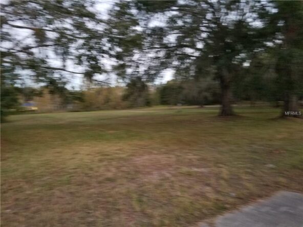 A grassy field with trees in the background.