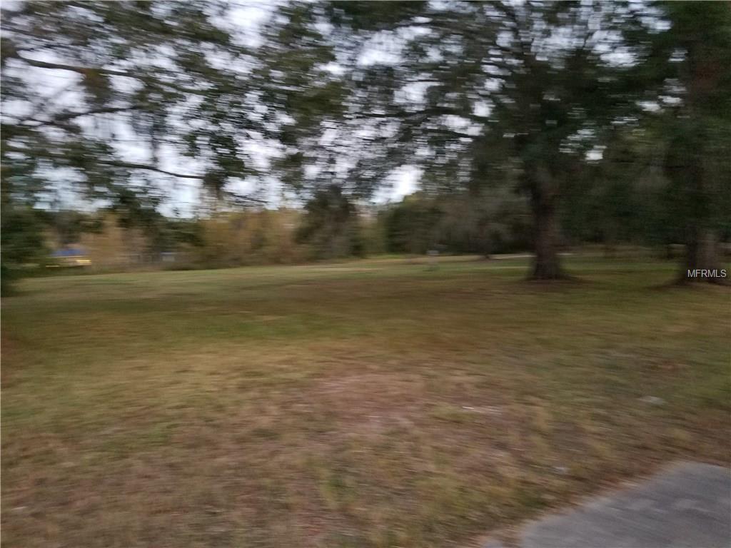 Overgrown grassy lot with trees in the background.