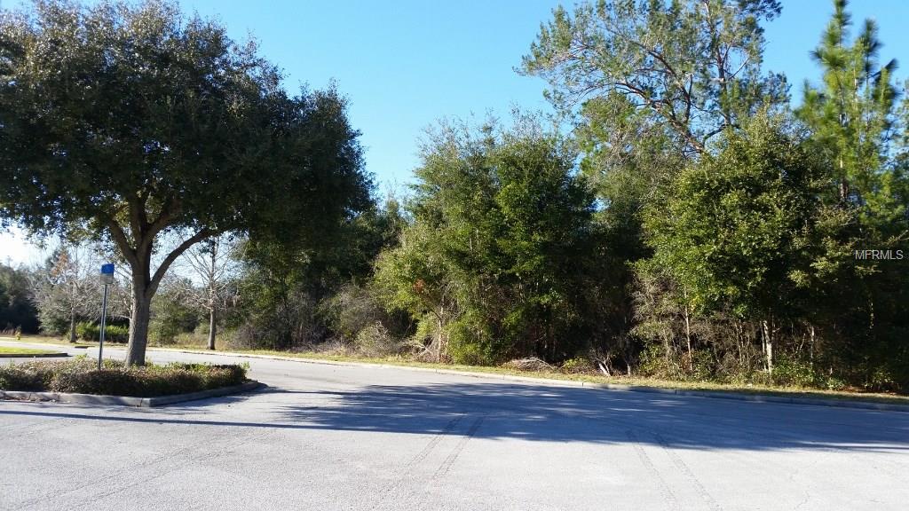 Wooded lot with empty parking lot.