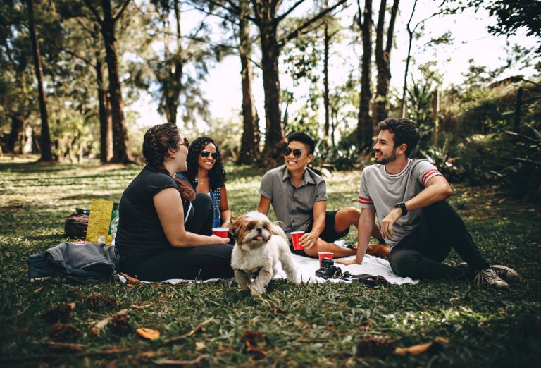 Group of friends having a picnic with a dog.