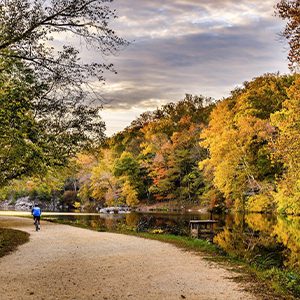 A cyclist rides through a fall park.