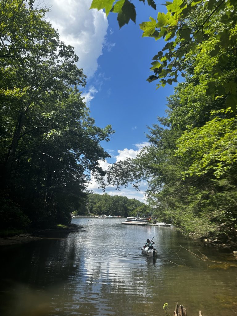 Kayaker on serene lake surrounded by trees.